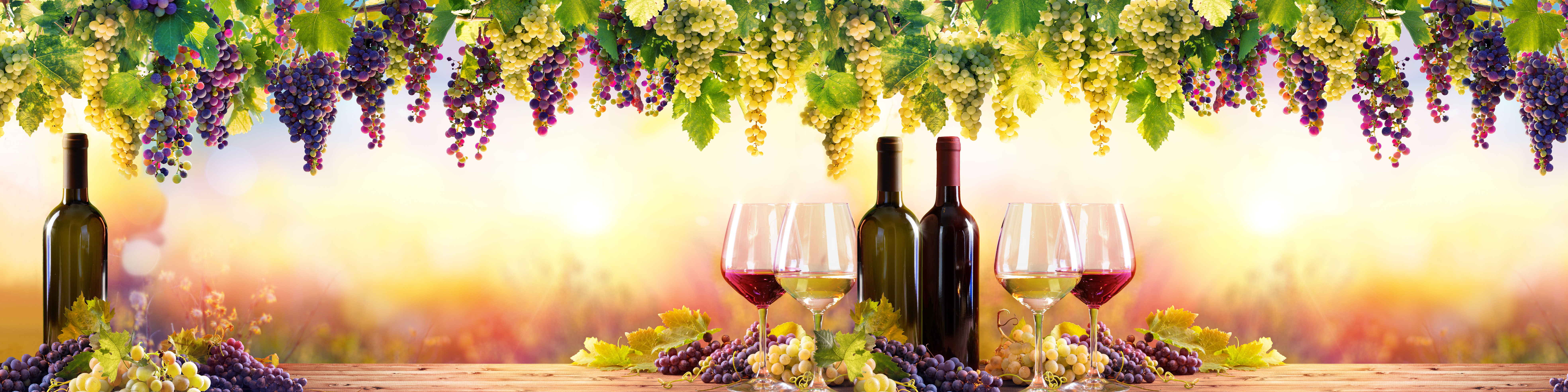 Butelki i kieliszki wina z winogronami na tle winnicy